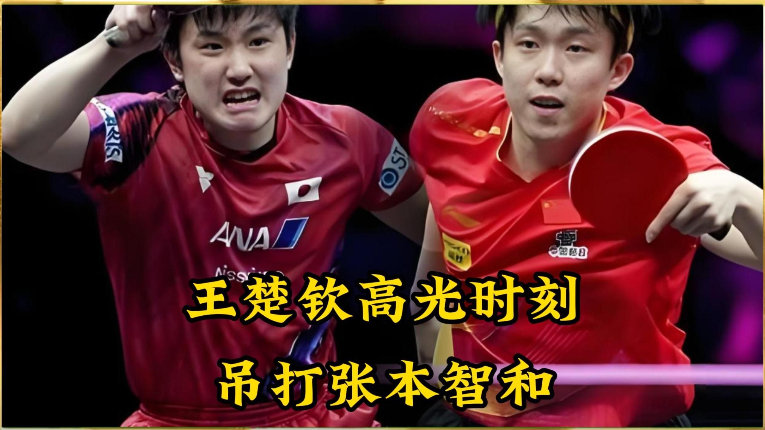奥地利队碾压日本队，张本智和高光表现