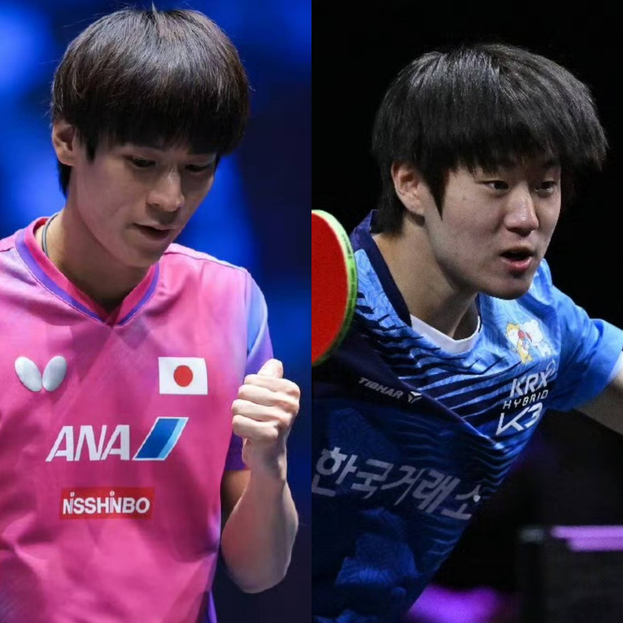 葡萄牙队完胜中国队，张本智和高光表现