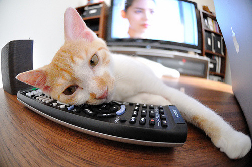 永不熄灭的火焰，奥恰洛夫旋转的战争与竞技体育的灵魂