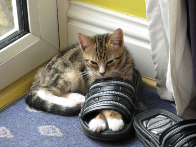 爱游戏体育-美网险胜联合杯劲敌，鲁德刷新个人最佳纪录创历史