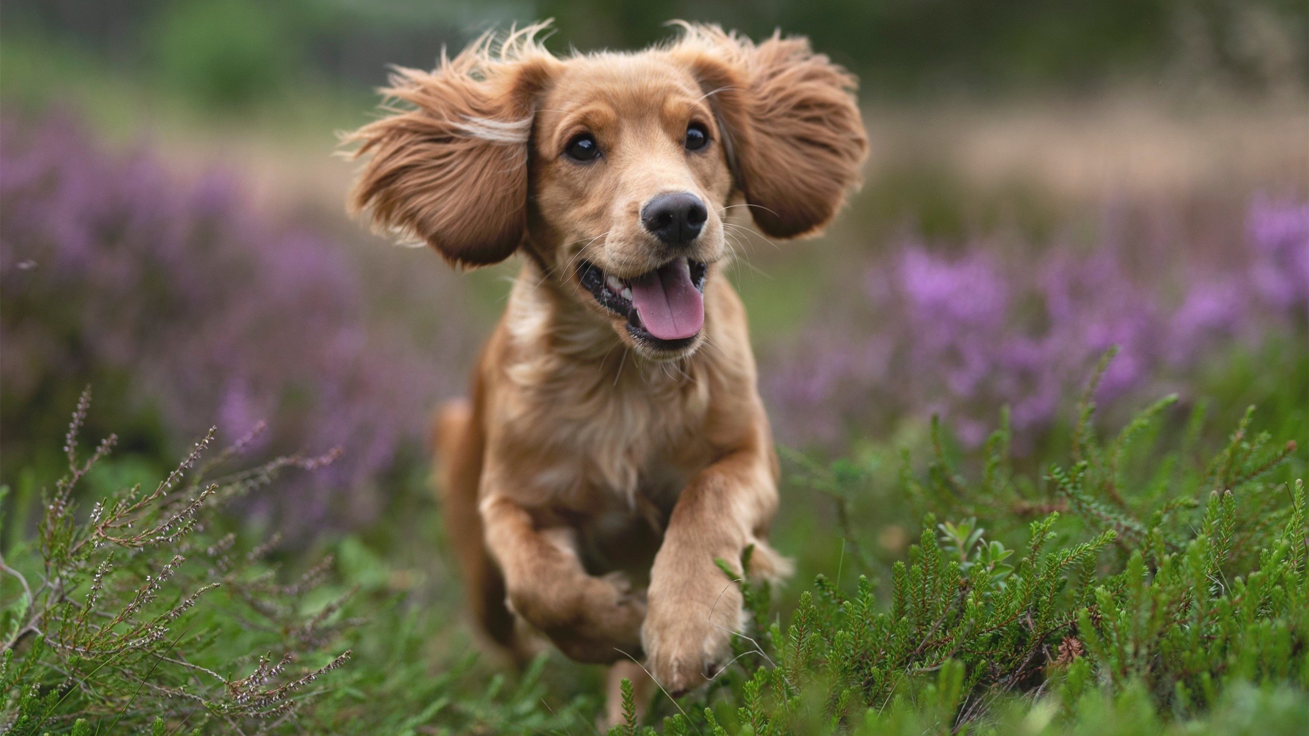 当虚拟照进现实，一场不存在的比赛中，梅西如何写下永恒教科书
