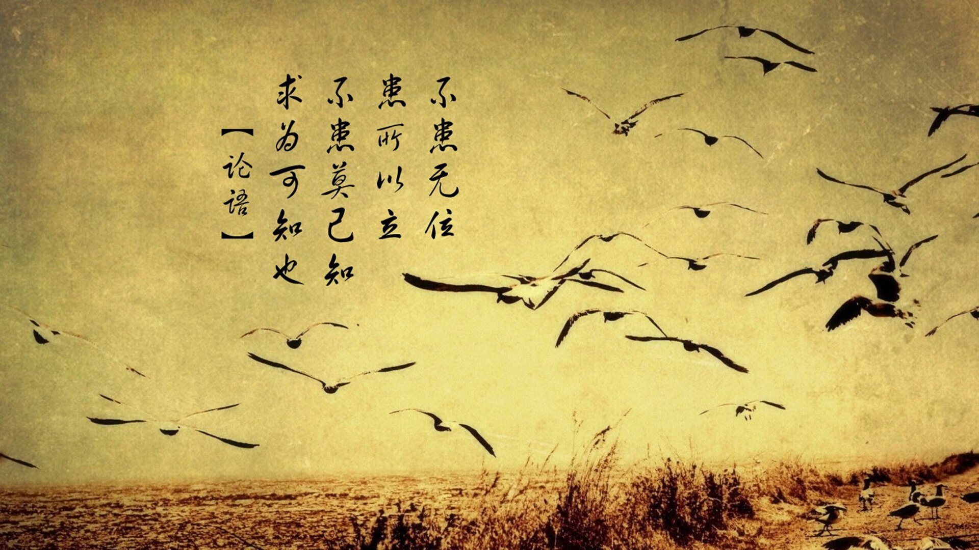 个体神性与体系之力，C罗单骑与埃及铁流的终极对辩