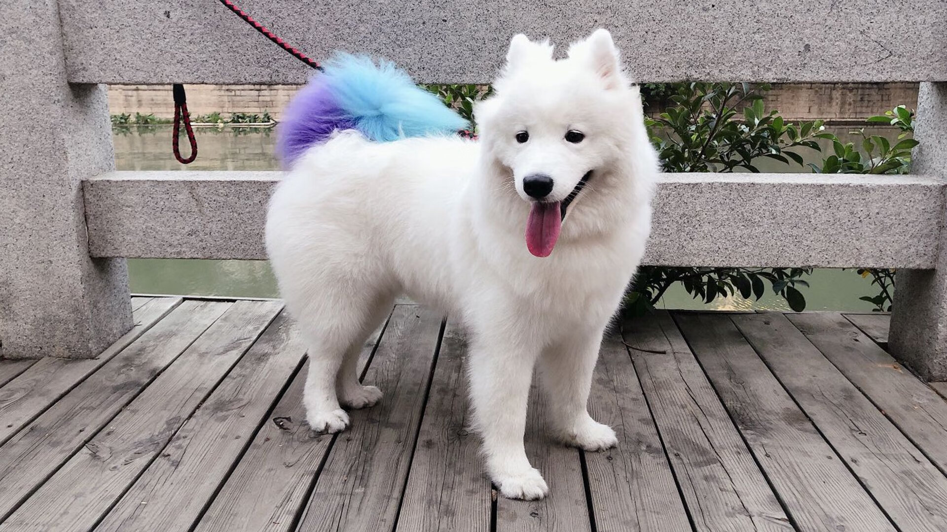 基米希的一脚，与那片沉默后爆发的海啸