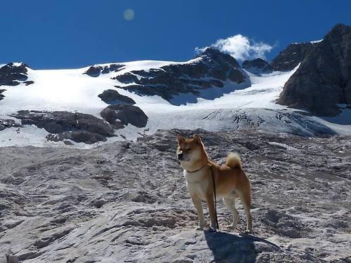 欧冠式降维打击!当骑士以提前终结悬念的王者姿态碾过辽宁