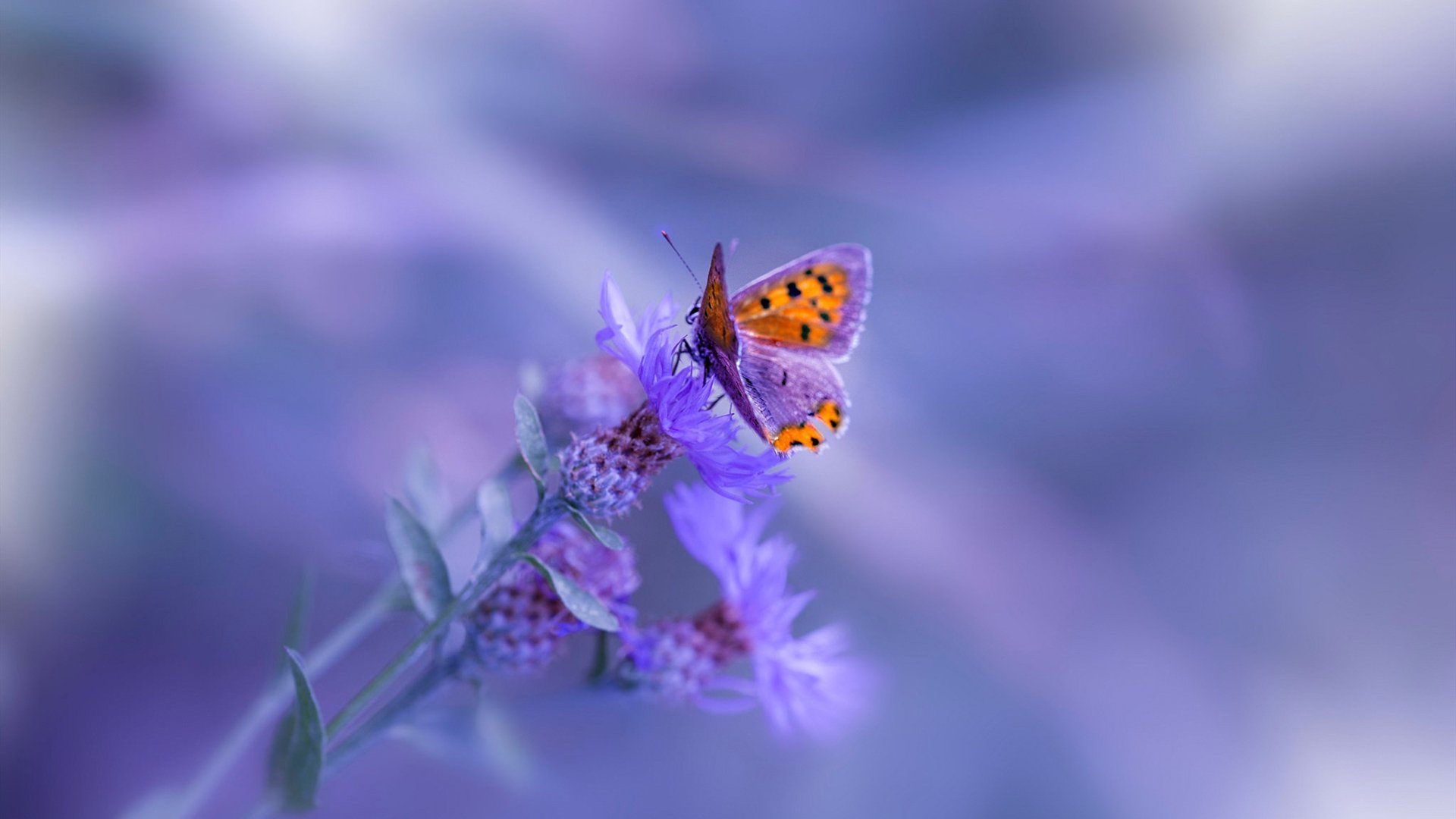 跨界掌控力，从掘金的团队熔炉到贝恩的个人神迹