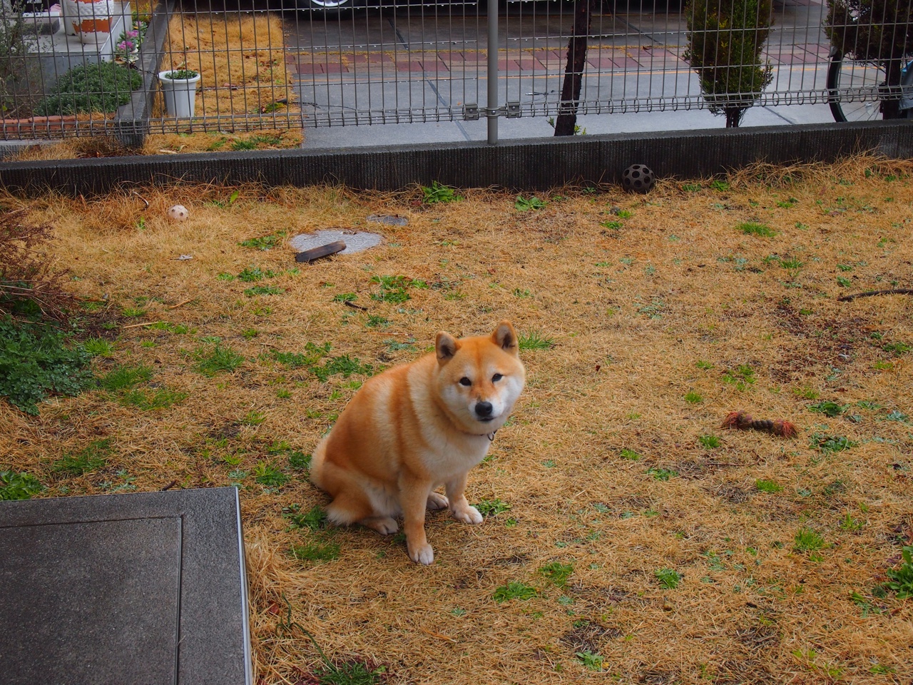 江城暖阳与洛杉矶星辰碰撞，篮球宇宙里的唯一答案