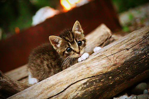 风暴眼的沉默，卡塞米罗末节怒吼，定义唯一性的决战