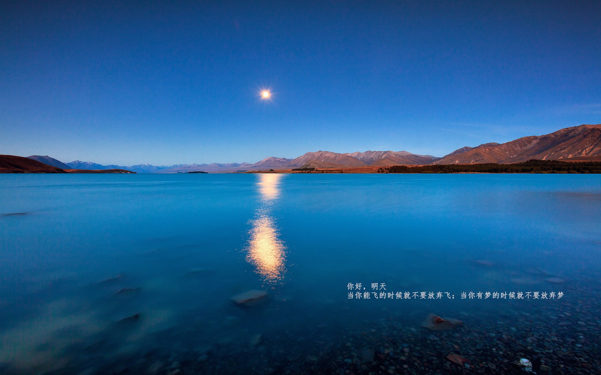 评分拉满的贝恩，与一场他不存在的比赛