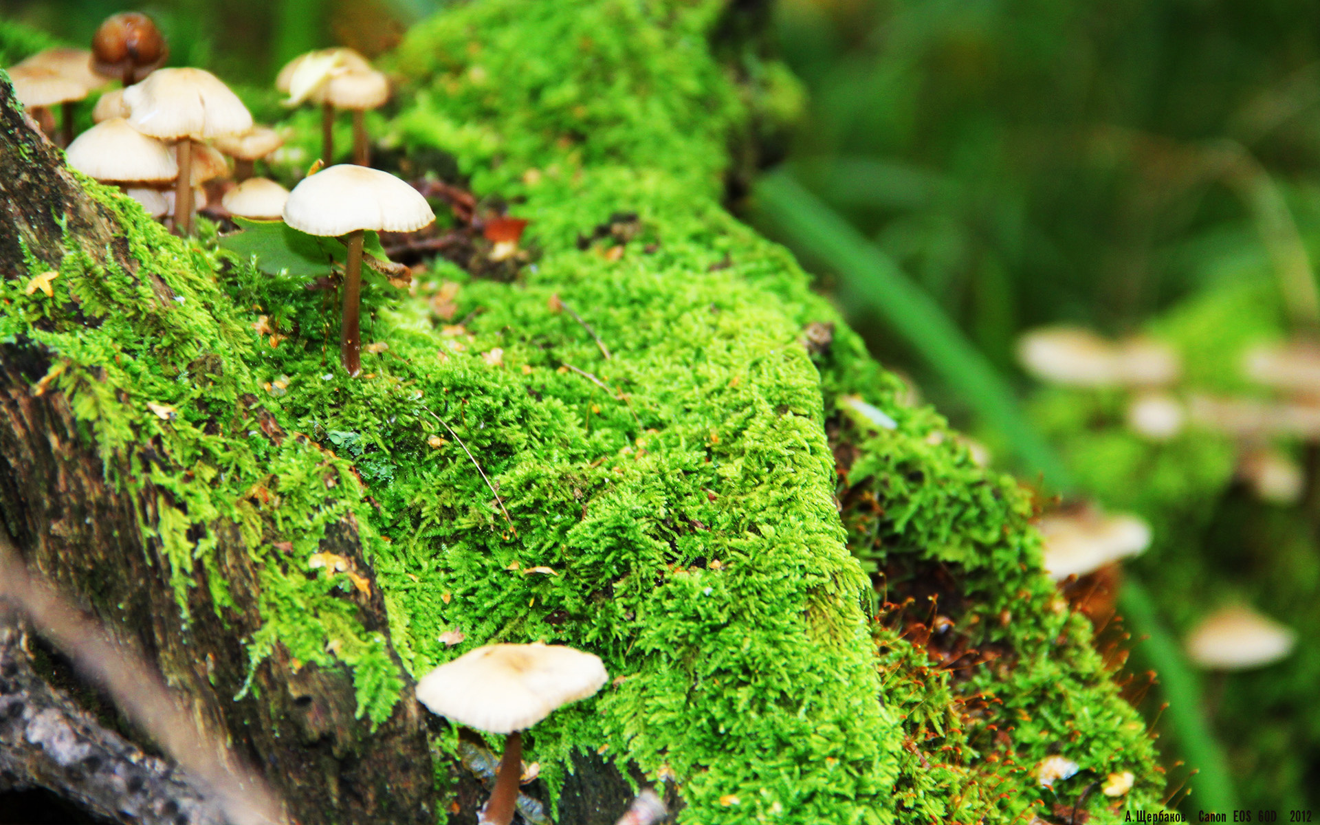 德式伦纳德防线，当足球场展开NBA级绞杀战