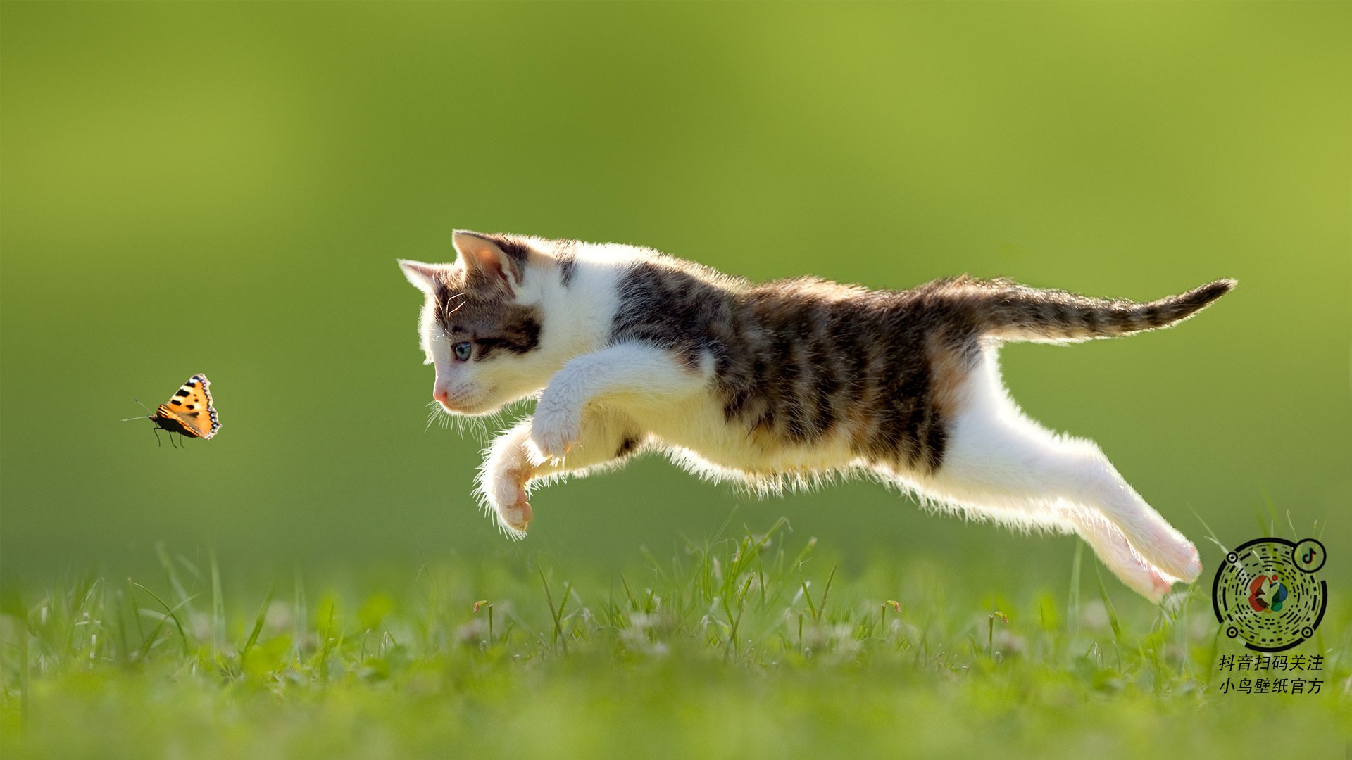 节奏的艺术，从皇家社会的奥地利基因到阿克在英超的争冠时刻