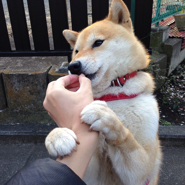 掌控风云，保罗运筹帷幄导演胜局，尼克斯犀利攻势击穿新疆防线