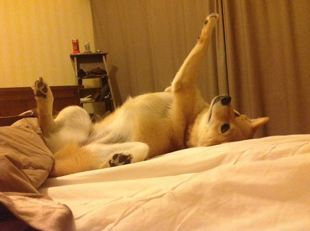 最后三秒，拉梅洛投出一张世界地图