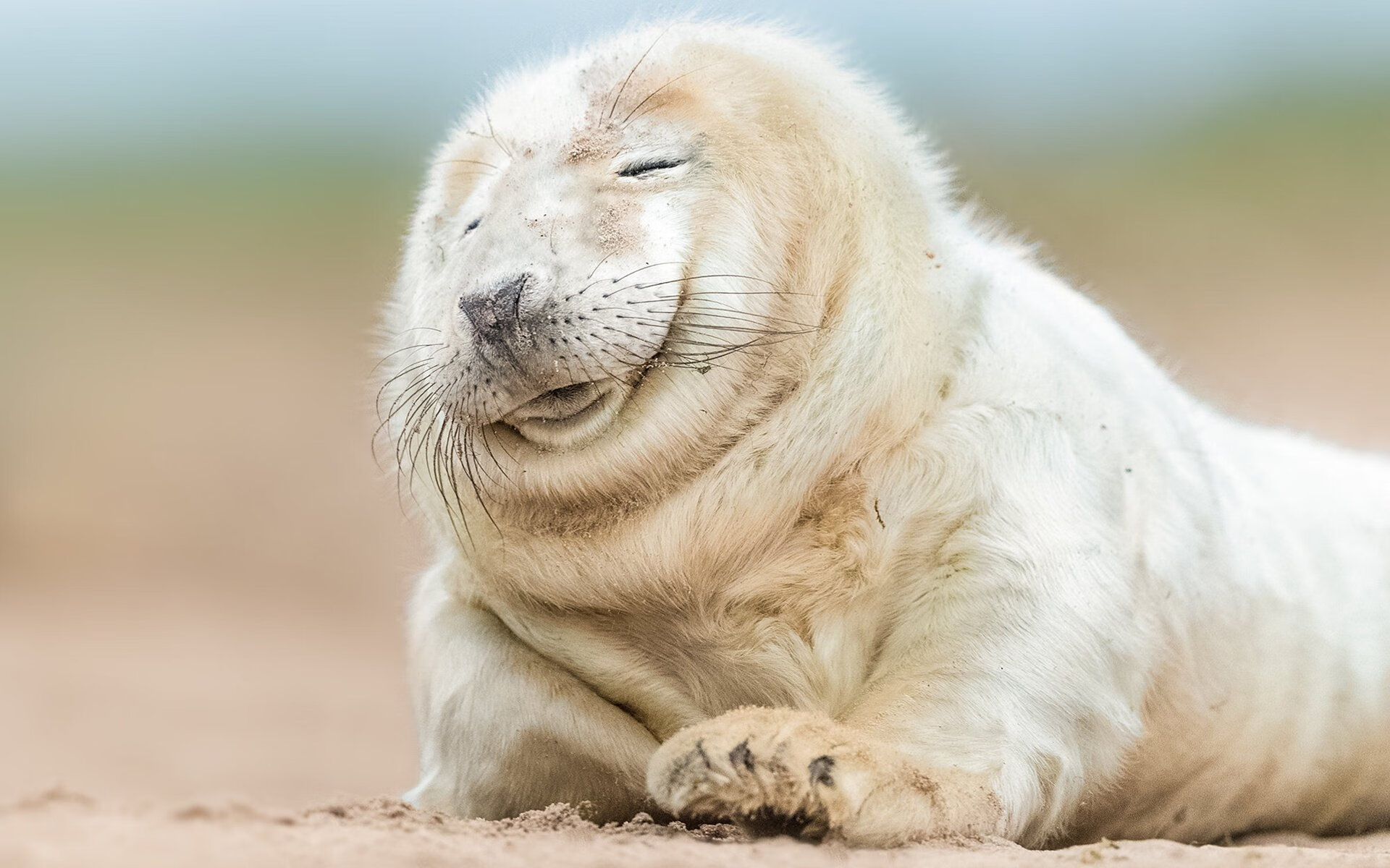 从黑马到传奇，爱德华兹于年度焦点之战用拳头重写王座定义