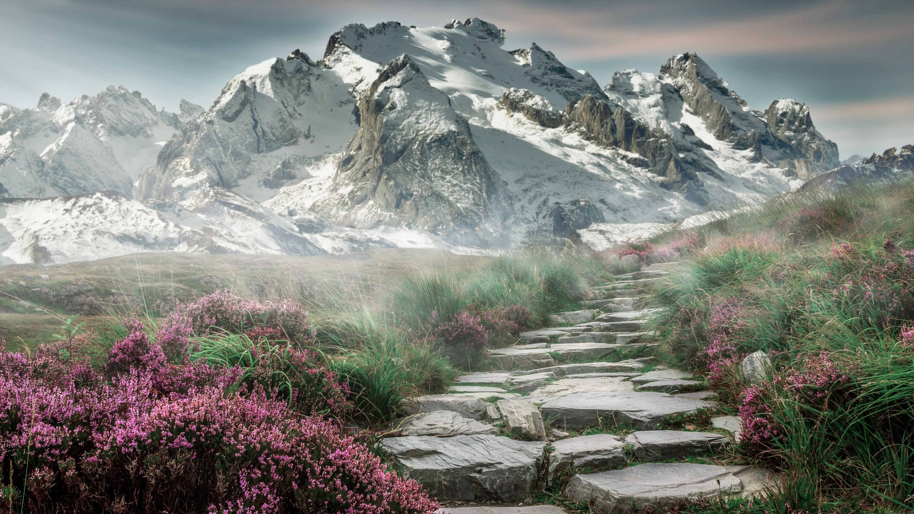 决斗于排名悬崖边，贝恩的最后一舞与救赎之夜