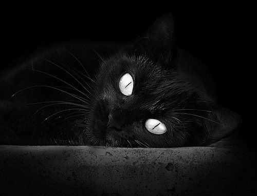 石油资本完成体育史上最震撼收购—24岁的英格兰天才用三粒进球完成旧时代审判