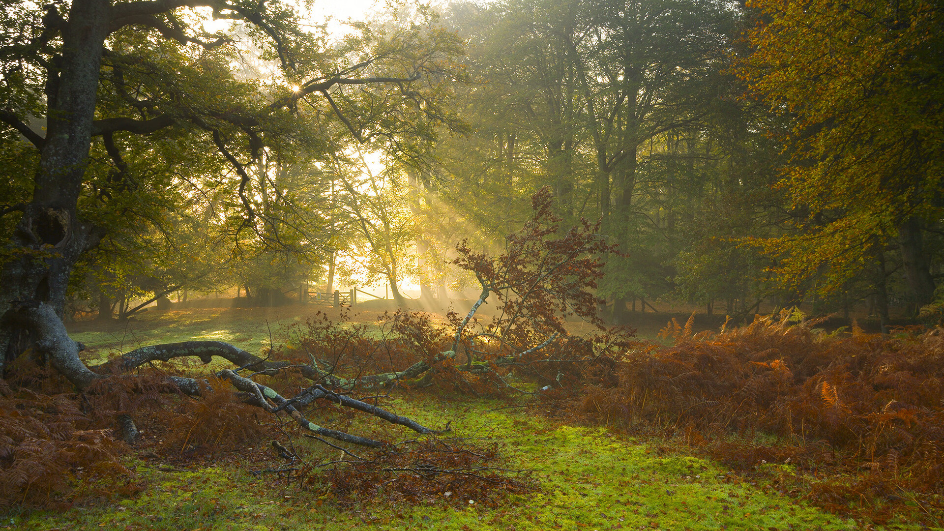 突尼斯狂胜比利亚雷亚尔创奇迹，拉什福德里程碑之夜闪耀欧洲足坛