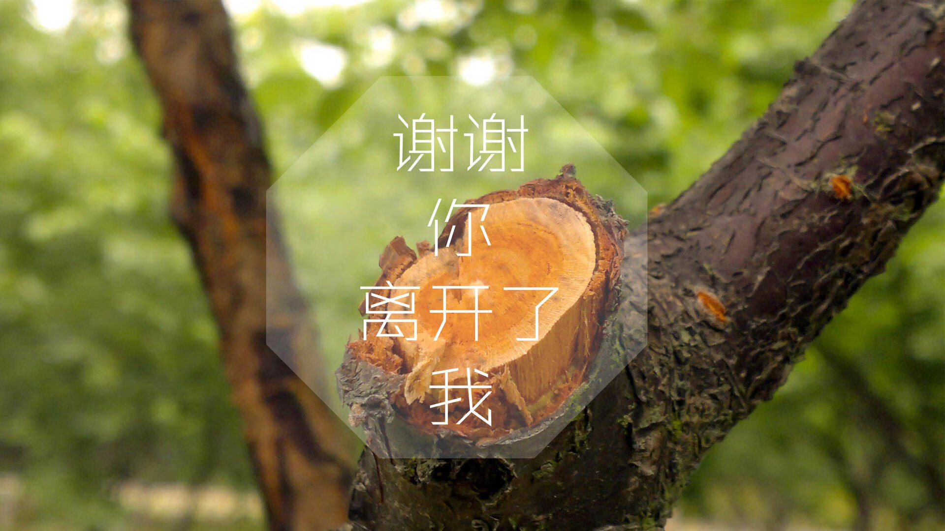 绿茵孤本，当罗马尼亚的铁骑碾过北非之沙，姆巴佩在2026世界杯A组写下一场不可复制的神迹