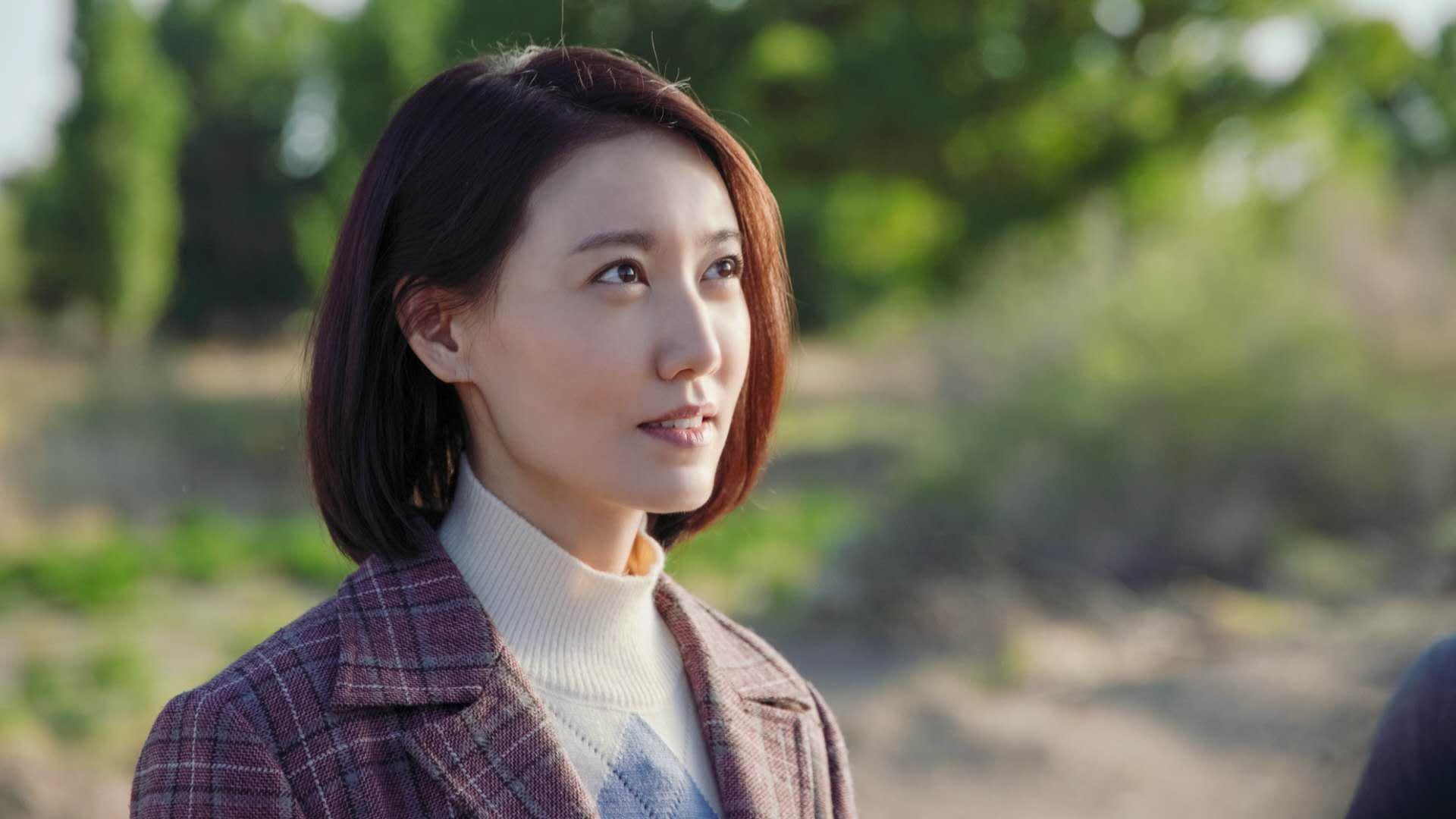 宿命的回响,2026世界杯,加纳铁骑碾碎伊朗,布罗佐维奇奏响中场华章